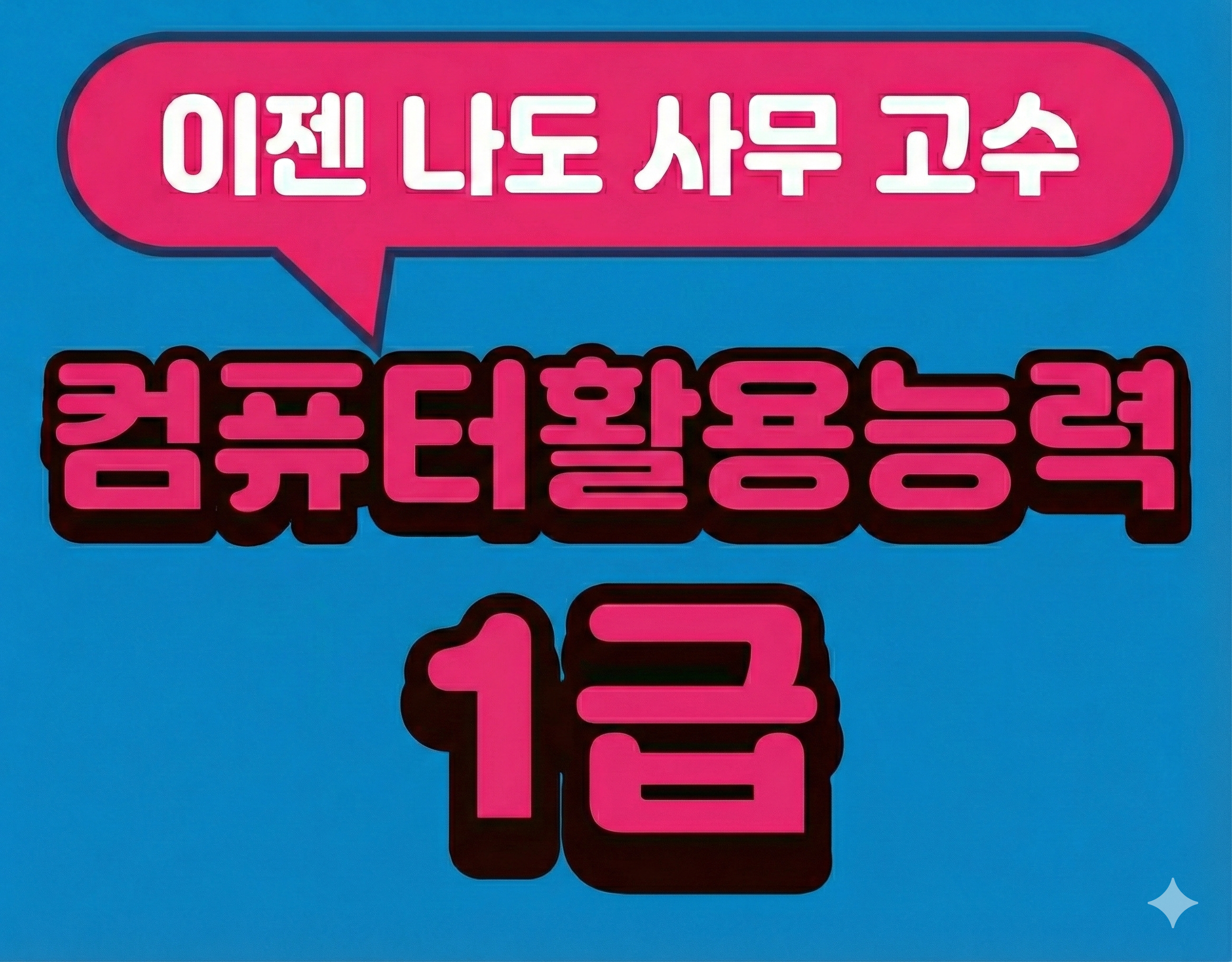 컴퓨터활용능력 1급 (필기+실기) 자격증 취득